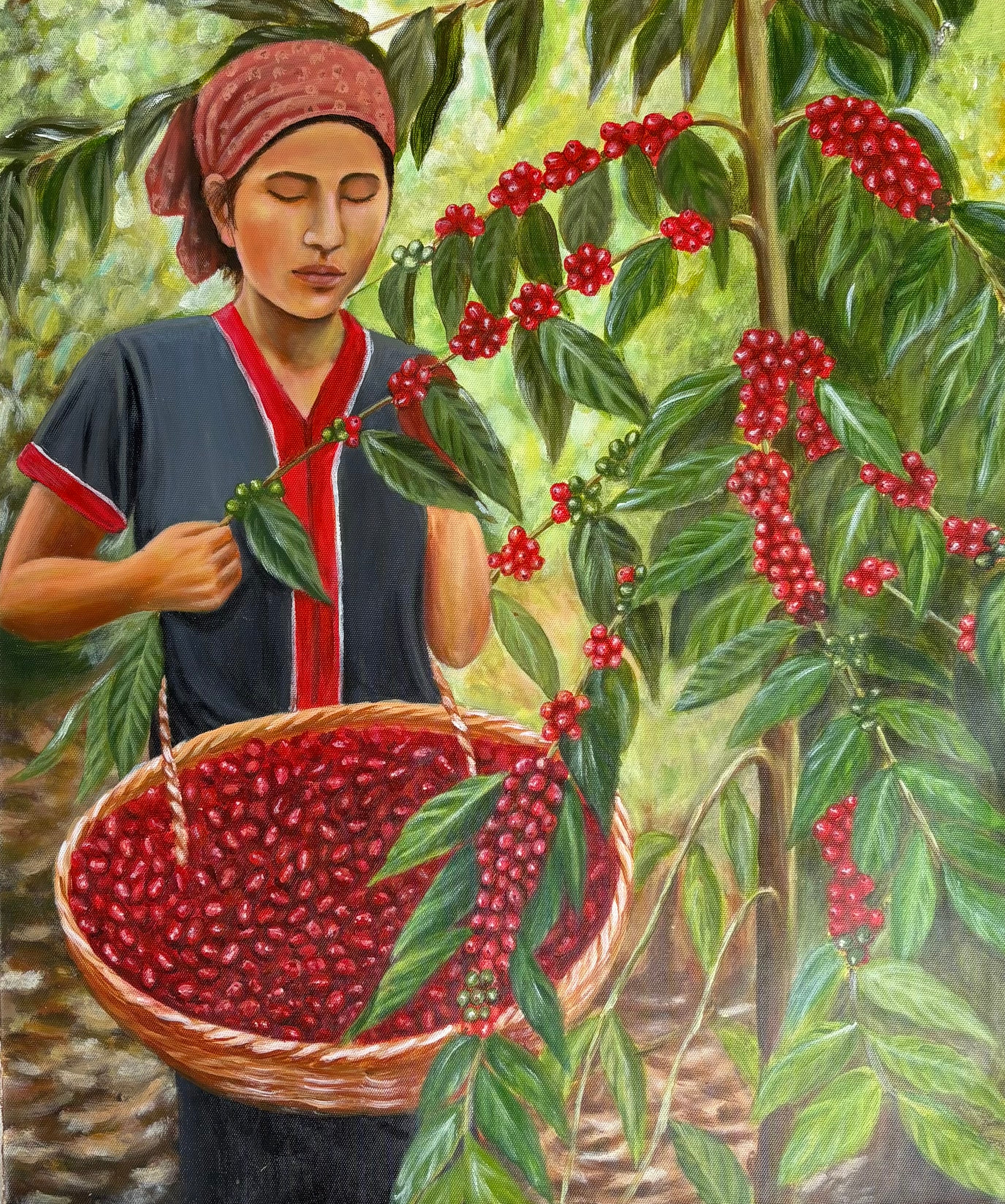 Coffee Plantation