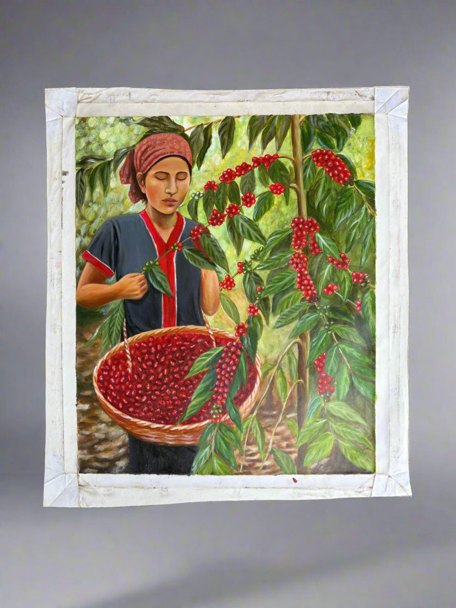 Coffee Plantation