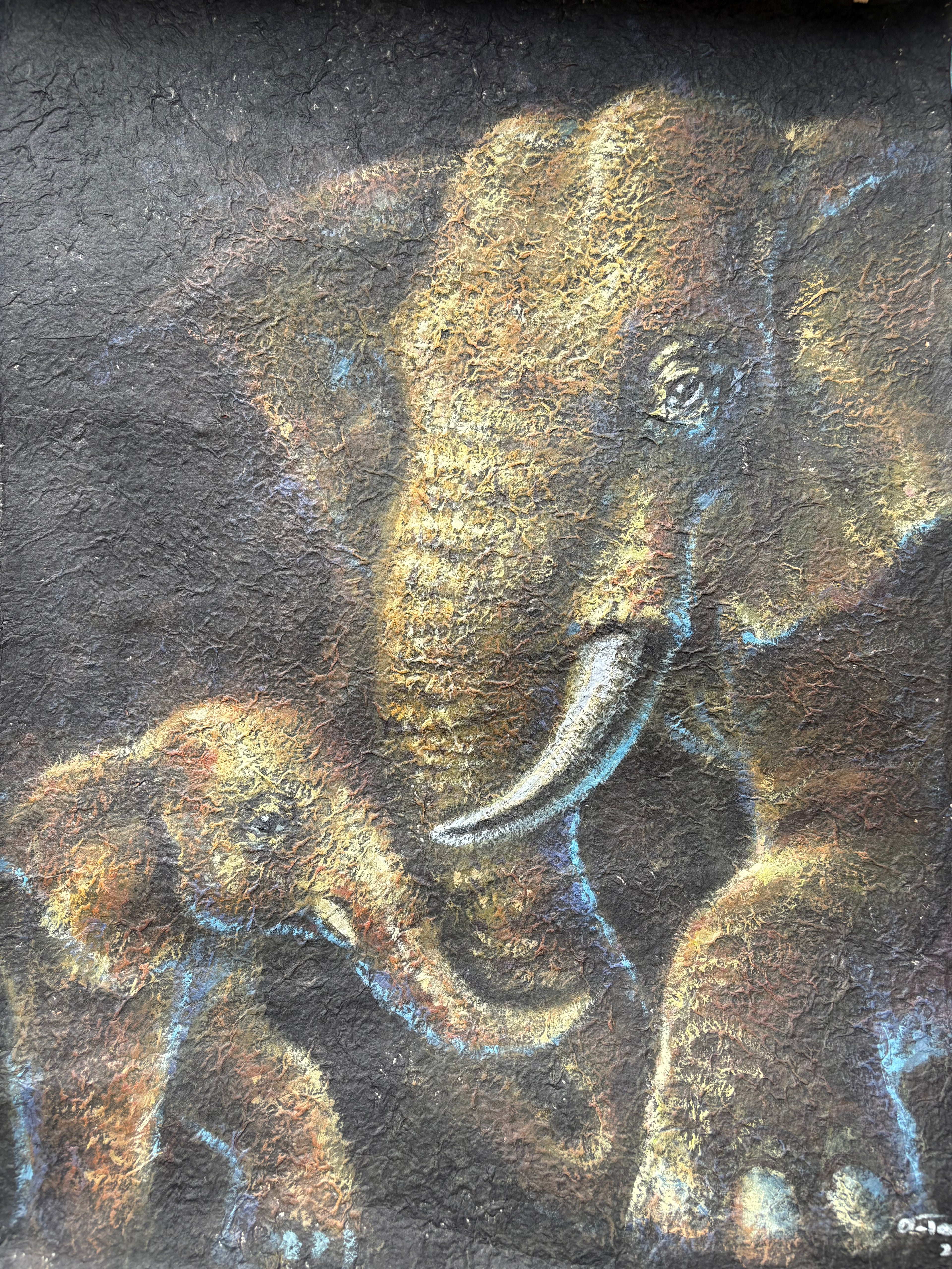 Elephants